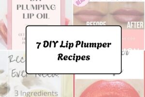 httpswishfulyou.comdiy-lip-plumper-recipes_20260321162929