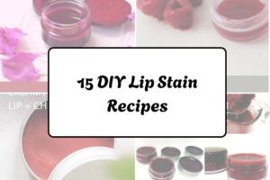 httpswishfulyou.comdiy-lip-stain-recipes_20260321162832