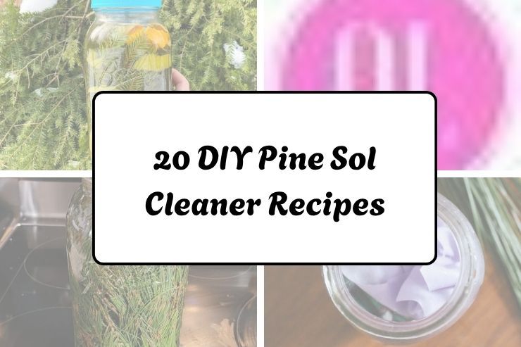 20 DIY Pine Sol Cleaner Recipes