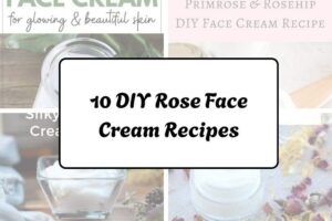 httpswishfulyou.comdiy-rose-face-cream-recipes_20260321162733
