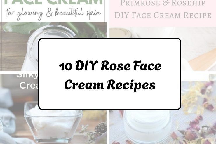 10 DIY Rose Face Cream Recipes