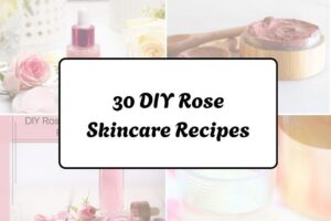 httpswishfulyou.comdiy-rose-skincare-recipes_20260321163223