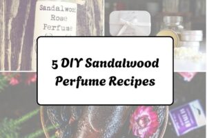 httpswishfulyou.comdiy-sandalwood-perfume-recipes_20260321162913