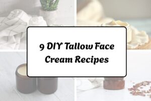 httpswishfulyou.comdiy-tallow-face-cream-recipes_20260321162753