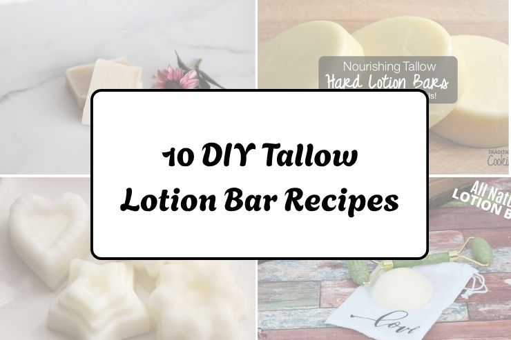 10 DIY Tallow Lotion Bar Recipes