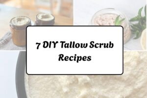 httpswishfulyou.comdiy-tallow-scrub-recipes_20260321162955