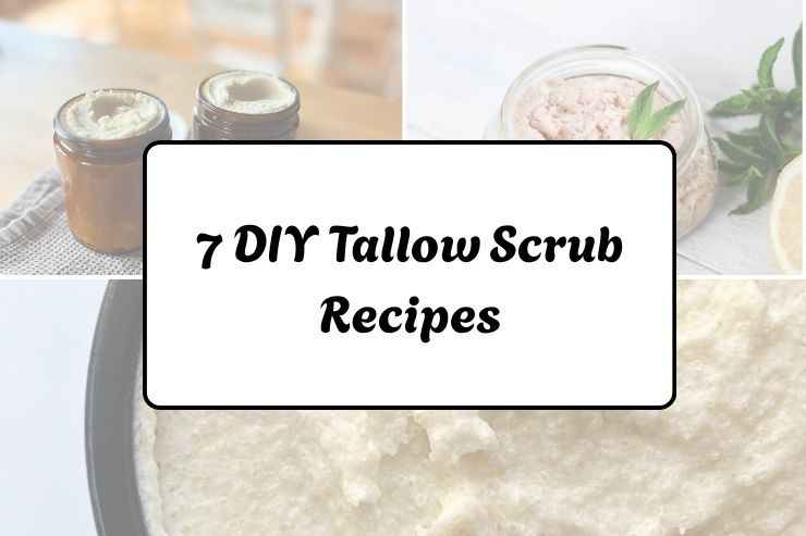 7 DIY Tallow Scrub Recipes