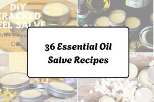 httpswishfulyou.comessential-oil-salve-recipes_20260321163018