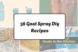 httpswishfulyou.comgnat-spray-diy-recipes_20260321162904