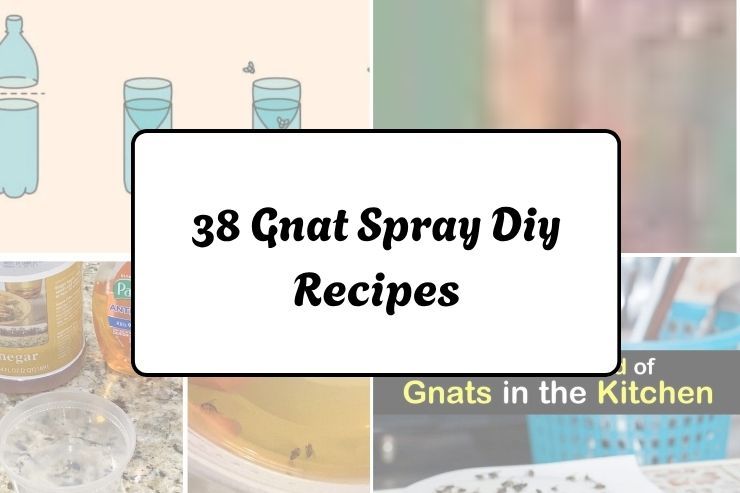 38 Gnat Spray Diy Recipes