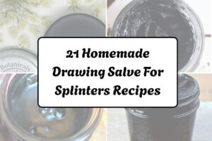 httpswishfulyou.comhomemade-drawing-salve-for-splinters-recipes_20260321163320