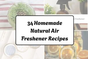 httpswishfulyou.comhomemade-natural-air-freshener-recipes_20260321163255
