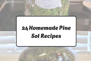 httpswishfulyou.comhomemade-pine-sol-recipes_20260321163020