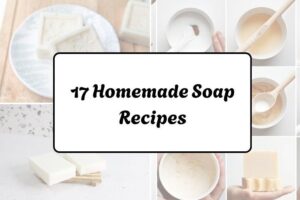 httpswishfulyou.comhomemade-soap-recipes_20260321163038