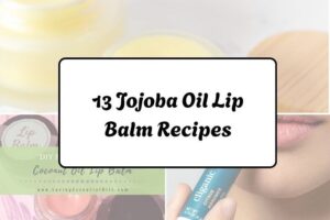 httpswishfulyou.comjojoba-oil-lip-balm-recipes_20260321162934