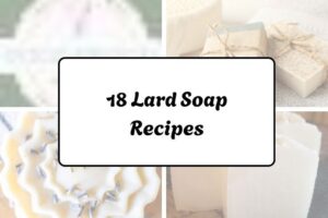 httpswishfulyou.comlard-soap-recipes_20260321162653