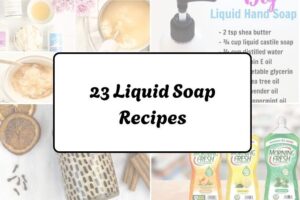 httpswishfulyou.comliquid-soap-recipes_20260321163043
