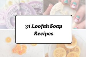 httpswishfulyou.comloofah-soap-recipes_20260321163104