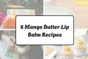 httpswishfulyou.commango-butter-lip-balm-recipes_20260321162621