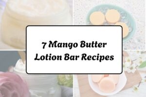 httpswishfulyou.commango-butter-lotion-bar-recipes_20260321162940