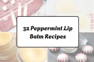 httpswishfulyou.compeppermint-lip-balm-recipes_20260321163007