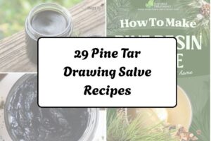 httpswishfulyou.compine-tar-drawing-salve-recipes_20260321163319