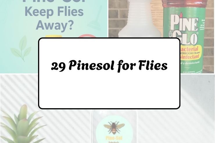 29 Pinesol for Flies