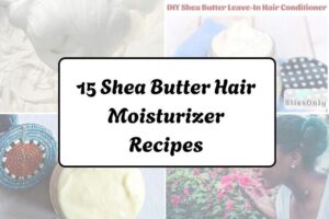 httpswishfulyou.comshea-butter-hair-moisturizer-recipes_20260321162850