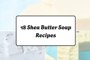 httpswishfulyou.comshea-butter-soap-recipes_20260321163014