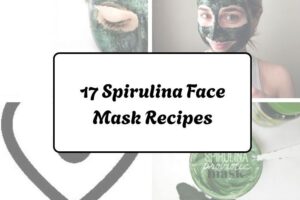 httpswishfulyou.comspirulina-face-mask-recipes_20260321162659