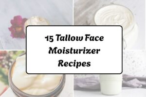 httpswishfulyou.comtallow-face-moisturizer-recipes_20260321163032
