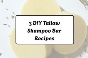 httpswishfulyou.comtallow-shampoo-bar-recipes_20260321163307