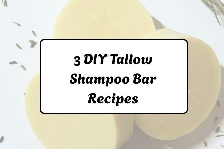 3 DIY Tallow Shampoo Bar Recipes