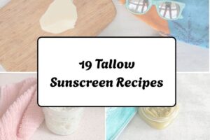 httpswishfulyou.comtallow-sunscreen-recipes_20260321162933