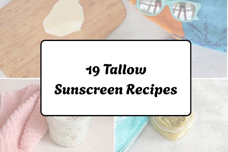 19 Tallow Sunscreen Recipes