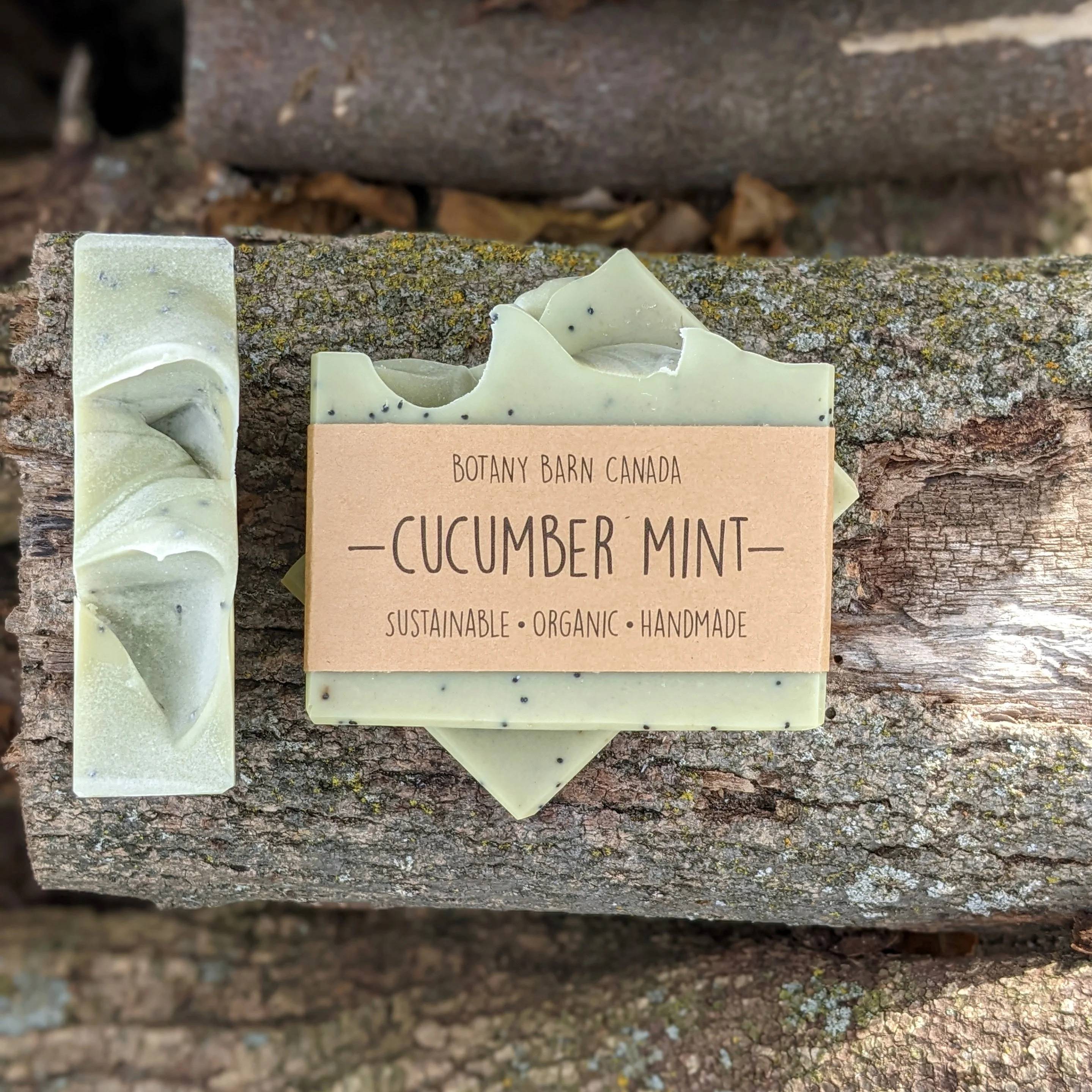 12 Rosemary Essential Oil Melt and Pour Soap Recipes Image
