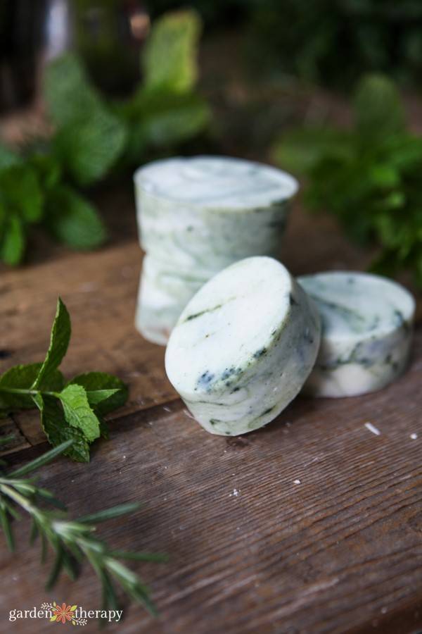 12 Rosemary Essential Oil Melt and Pour Soap Recipes Image