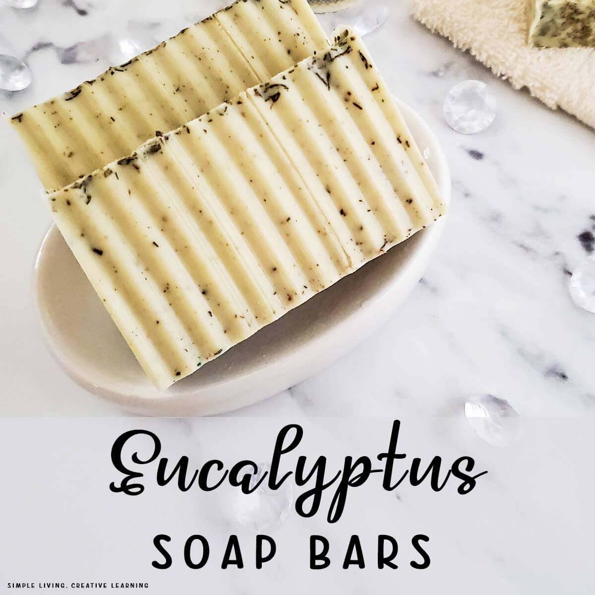14 Eucalyptus Melt and Pour Soap Recipes Image