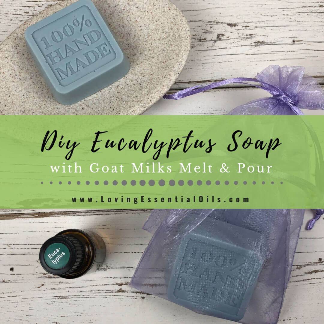 14 Eucalyptus Melt and Pour Soap Recipes Image