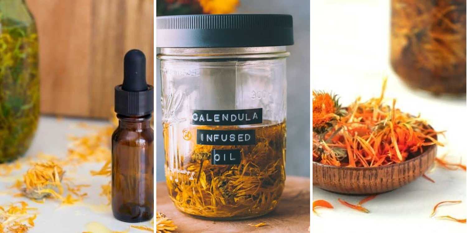 9 Calendula Tincture Recipes