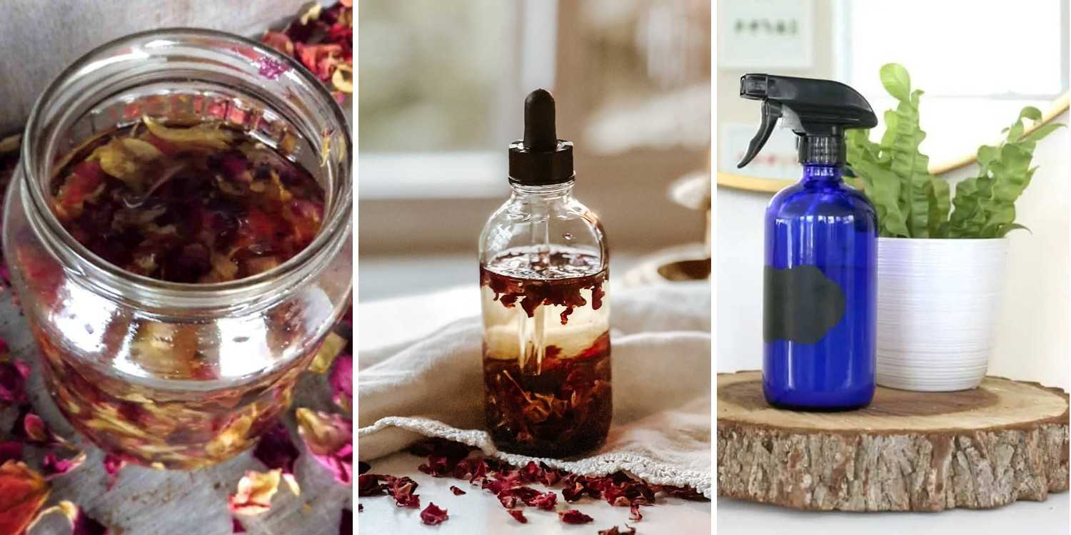 4 Chamomile Tincture Recipes