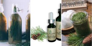 httpswishfulyou.comcoconut-oil-and-cinnamon-hair-mask-recipes_20260529172130