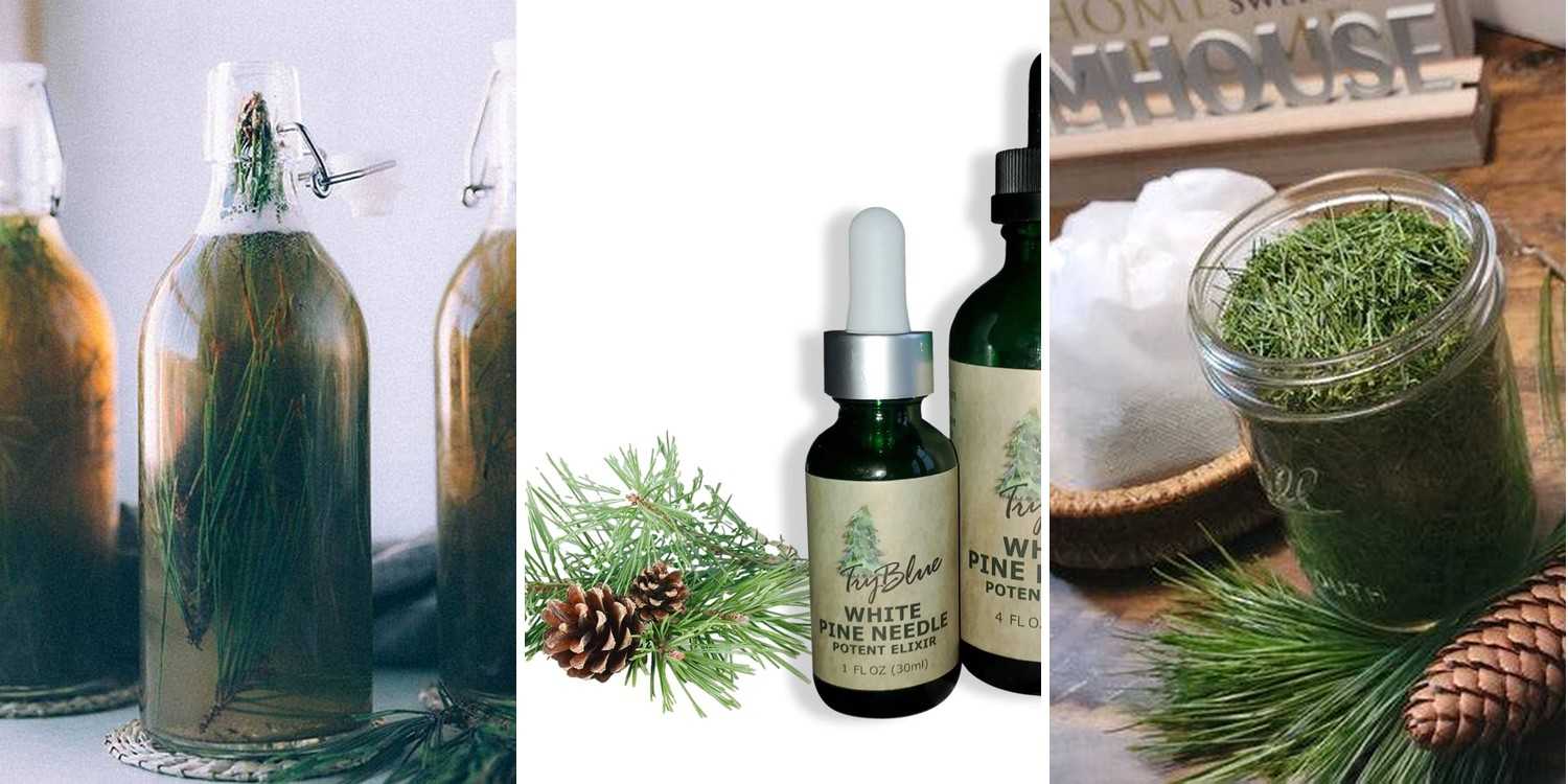 24 Coconut Oil and Cinnamon Hair Mask Recipes
