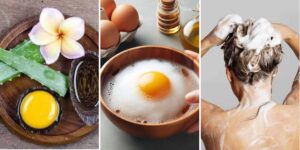 httpswishfulyou.comegg-shampoo-recipes_20260529172819
