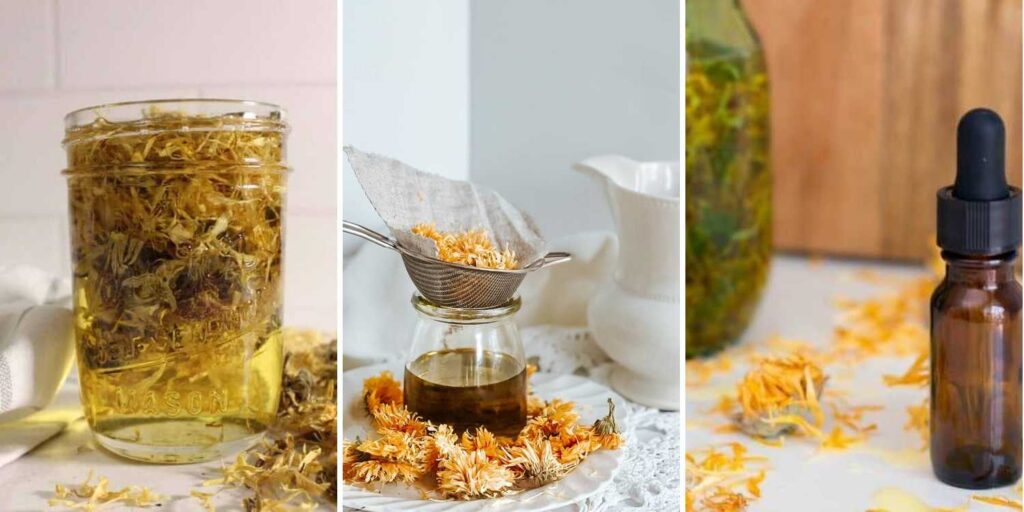 53 Eucalyptus Essential Oil Diffuser Blends