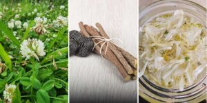 httpswishfulyou.comhoney-cinnamon-mask-recipes_20260529172132