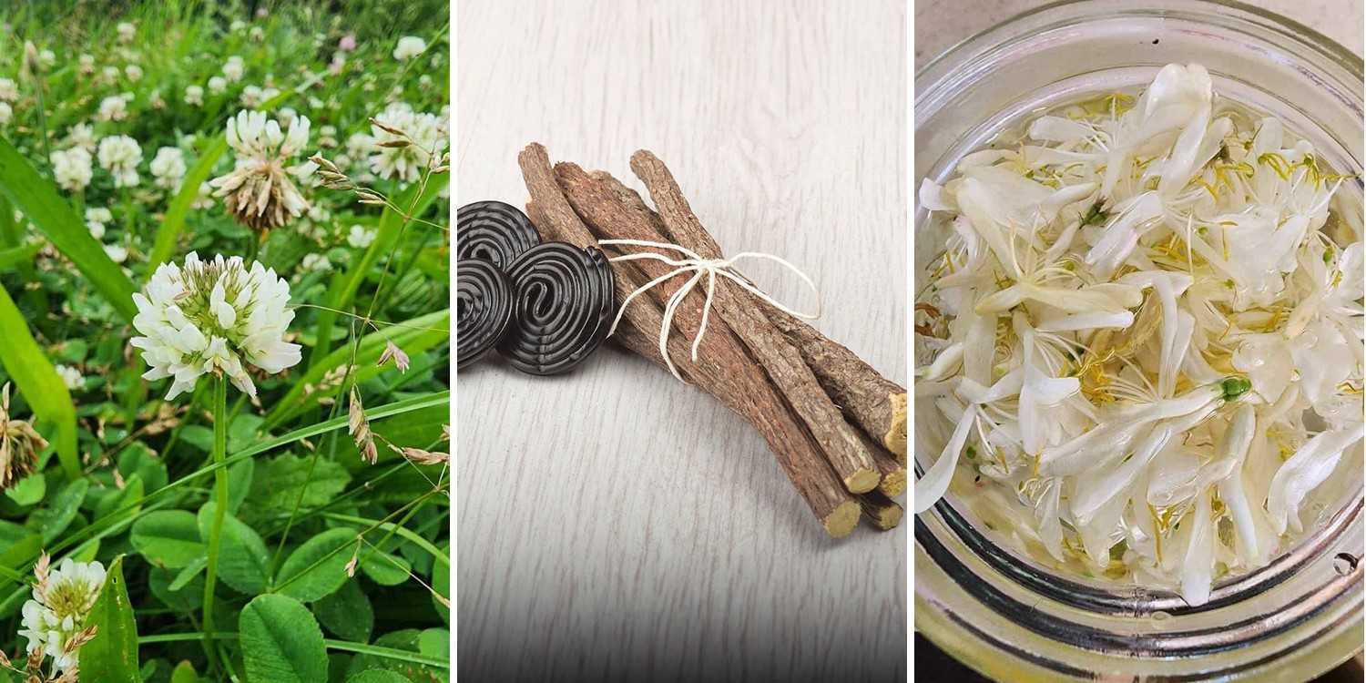 12 Honey Cinnamon Mask Recipes