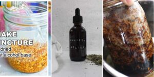 httpswishfulyou.comhot-process-lard-soap-recipes_20260529172142