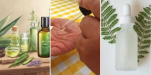 httpswishfulyou.comlush-shampoo-bar-recipes_20260529175326