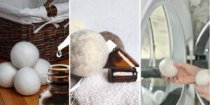 14 Mushroom Tincture Recipes httpswishfulyou.commushroom-tincture-recipes_20260529172119